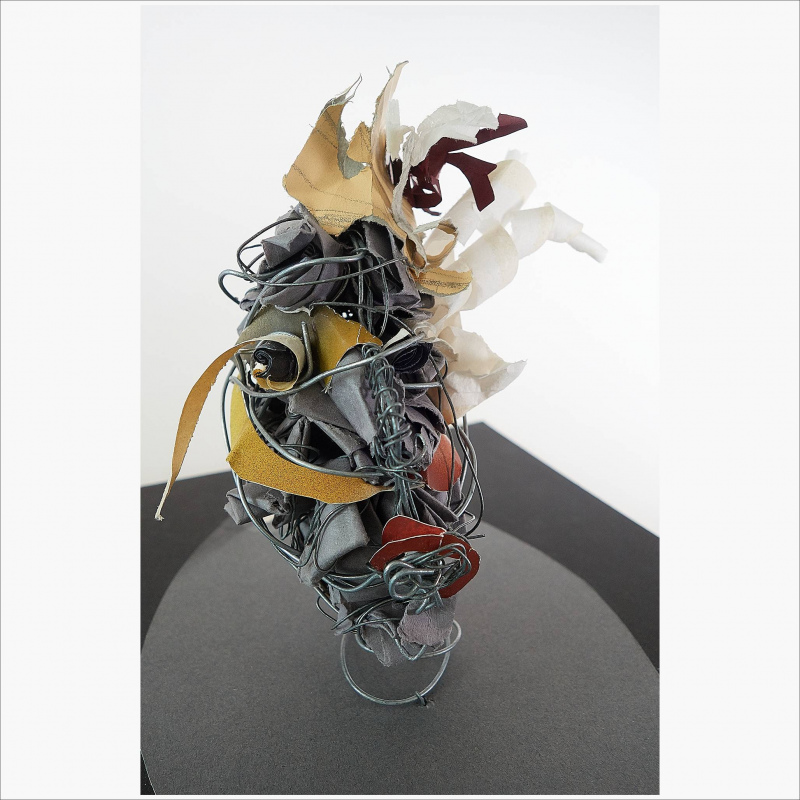 A Game Old Bird: View 1