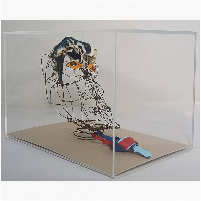 Head (three quarter view)